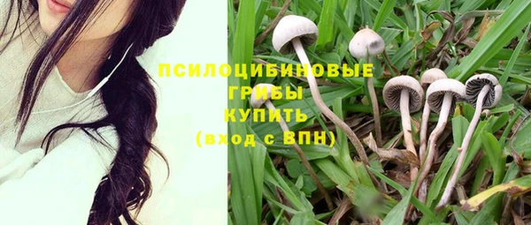 синтетический гашиш Козловка