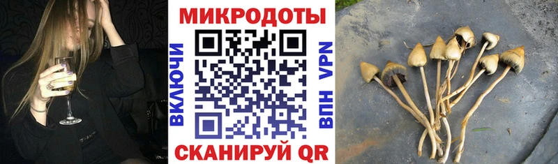 Псилоцибиновые грибы Psilocybe Волжский