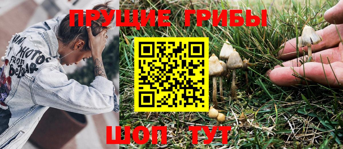 Псилоцибиновые грибы Psilocybe  Вход с VPN  Волжский 